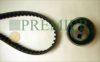 BRT Bearings PBTK255 Timing Belt Kit